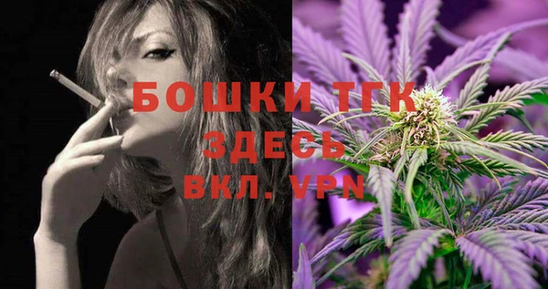 прущие грибы Богородск