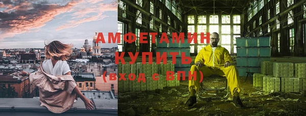 прущие грибы Богородск