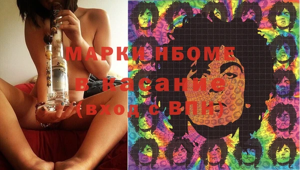 прущие грибы Богородск